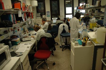 Grupo de Investigación trabajando en uno de los laboratorios