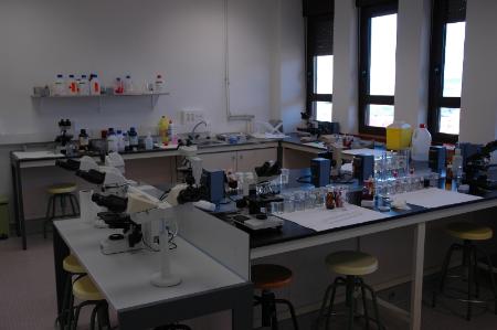 Laboratorio 3